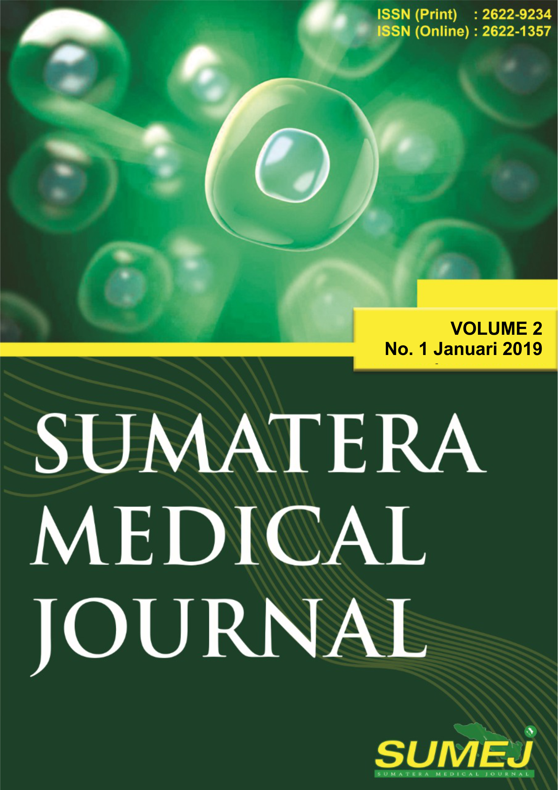 SUMEJ VOL2 NO1